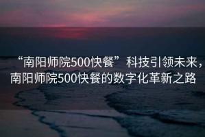 “南陽師院500快餐”科技引領未來，南陽師院500快餐的數字化革新之路