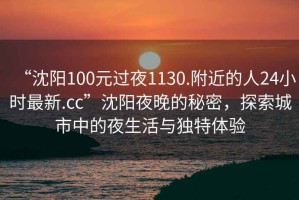 “沈陽100元過夜1130.附近的人24小時最新.cc”沈陽夜晚的秘密，探索城市中的夜生活與獨特體驗