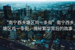“南寧西鄉塘區雞一條街”南寧西鄉塘區雞一條街，揭秘繁華背后的故事