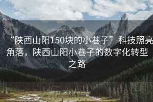 “陜西山陽150塊的小巷子”科技照亮角落，陜西山陽小巷子的數字化轉型之路