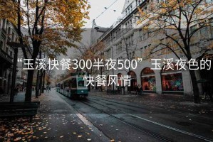 “玉溪快餐300半夜500”玉溪夜色的快餐風情