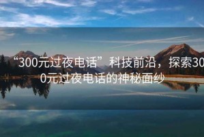 “300元過夜電話”科技前沿，探索300元過夜電話的神秘面紗