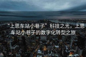 “上思車站小巷子”科技之光，上思車站小巷子的數(shù)字化轉(zhuǎn)型之旅