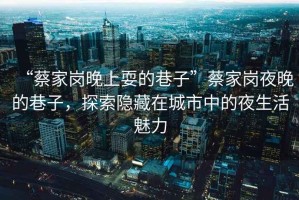 “蔡家崗晚上耍的巷子”蔡家崗夜晚的巷子，探索隱藏在城市中的夜生活魅力