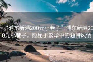 “浦東新港200元小巷子”浦東新港200元小巷子，隱秘于繁華中的獨(dú)特風(fēng)情