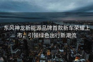 東風神龍新能源品牌首款新車榮耀上市，引領綠色出行新潮流
