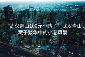 “武漢青山100元小巷子”武漢青山，藏于繁華中的小巷風(fēng)景