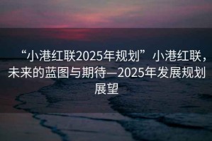 “小港紅聯2025年規劃”小港紅聯，未來的藍圖與期待—2025年發展規劃展望