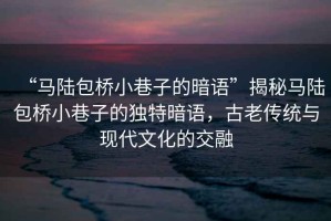 “馬陸包橋小巷子的暗語”揭秘馬陸包橋小巷子的獨特暗語，古老傳統(tǒng)與現(xiàn)代文化的交融
