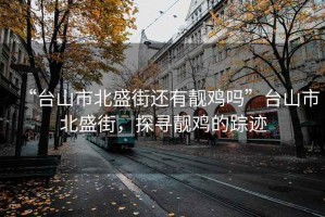 “臺山市北盛街還有靚雞嗎”臺山市北盛街，探尋靚雞的蹤跡