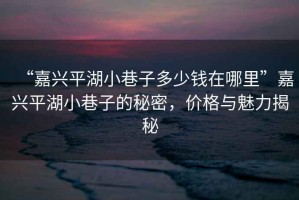 “嘉興平湖小巷子多少錢在哪里”嘉興平湖小巷子的秘密，價(jià)格與魅力揭秘