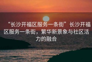 “長(zhǎng)沙開福區(qū)服務(wù)一條街”長(zhǎng)沙開福區(qū)服務(wù)一條街，繁華新景象與社區(qū)活力的融合