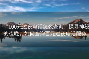“100元過夜電話怎么查詢”探尋神秘的夜晚，如何查詢百元過夜電話服務