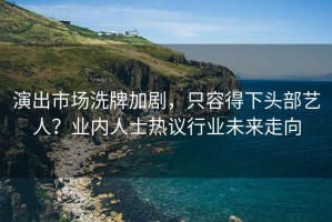 演出市場洗牌加劇，只容得下頭部藝人？業內人士熱議行業未來走向