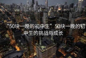 “50塊一晚的初中生”50塊一晚的初中生的挑戰(zhàn)與成長