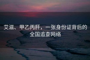 艾滋、甲乙丙肝，一張身份證背后的全國追查網絡