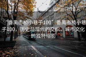 “番禺市橋小巷子100”番禺市橋小巷子100，歷史與現(xiàn)代的交織，城市文化的獨(dú)特縮影