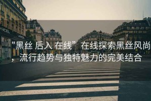 “黑絲 后入 在線”在線探索黑絲風尚，流行趨勢與獨特魅力的完美結合