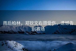 雨后柏林，鄭欽文右頸受傷，遺憾告別賽場
