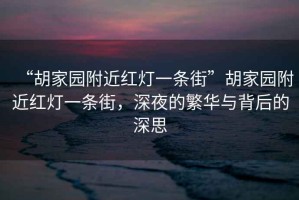 “胡家園附近紅燈一條街”胡家園附近紅燈一條街，深夜的繁華與背后的深思