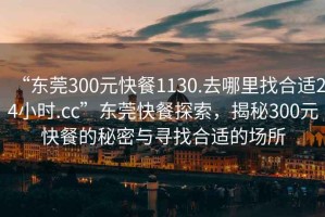 “東莞300元快餐1130.去哪里找合適24小時.cc”東莞快餐探索，揭秘300元快餐的秘密與尋找合適的場所