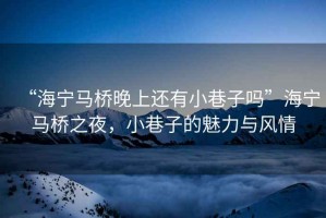 “海寧馬橋晚上還有小巷子嗎”海寧馬橋之夜，小巷子的魅力與風情