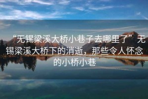 “無(wú)錫梁溪大橋小巷子去哪里了”無(wú)錫梁溪大橋下的消逝，那些令人懷念的小橋小巷