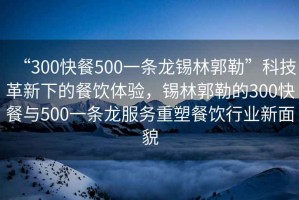 “300快餐500一條龍錫林郭勒”科技革新下的餐飲體驗(yàn)，錫林郭勒的300快餐與500一條龍服務(wù)重塑餐飲行業(yè)新面貌