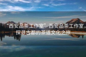 “西安品茶工作室”西安品茶工作室，探尋古都的茶道文化之旅