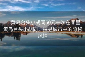 “黃島臺頭小胡同50元一次在哪里”黃島臺頭小胡同，探尋城市中的隱秘風情