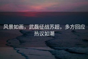 風景如畫，武磊征戰蘇超，多方回應熱議如潮