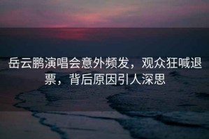 岳云鵬演唱會意外頻發，觀眾狂喊退票，背后原因引人深思
