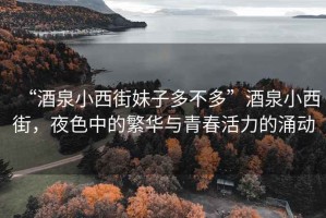 “酒泉小西街妹子多不多”酒泉小西街，夜色中的繁華與青春活力的涌動