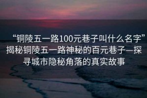 “銅陵五一路100元巷子叫什么名字”揭秘銅陵五一路神秘的百元巷子—探尋城市隱秘角落的真實故事
