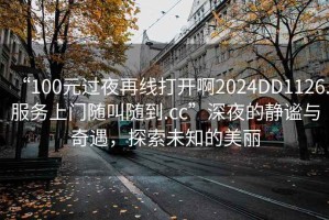 “100元過夜再線打開啊2024DD1126.服務上門隨叫隨到.cc”深夜的靜謐與奇遇，探索未知的美麗
