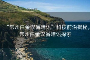 “常州白金漢爵暗語”科技前沿揭秘，常州白金漢爵暗語探索
