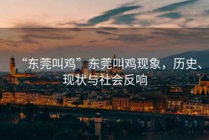 “東莞叫雞”東莞叫雞現(xiàn)象，歷史、現(xiàn)狀與社會(huì)反響