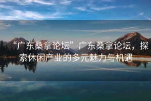 “廣東桑拿論壇”廣東桑拿論壇，探索休閑產業的多元魅力與機遇