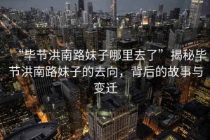“畢節洪南路妹子哪里去了”揭秘畢節洪南路妹子的去向，背后的故事與變遷