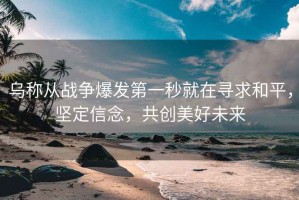 烏稱從戰爭爆發第一秒就在尋求和平，堅定信念，共創美好未來