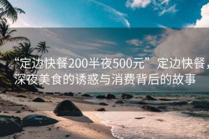 “定邊快餐200半夜500元”定邊快餐，深夜美食的誘惑與消費背后的故事