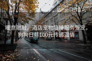 暖意融融，酒店寵物陪睡服務受寵，狗狗日薪100元傳遞溫情