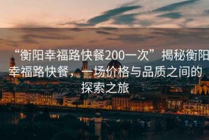“衡陽幸福路快餐200一次”揭秘衡陽幸福路快餐，一場價格與品質之間的探索之旅