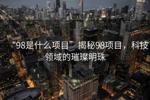 “98是什么項(xiàng)目”揭秘98項(xiàng)目，科技領(lǐng)域的璀璨明珠