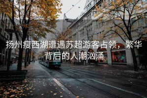 揚州瘦西湖遭遇蘇超游客占領，繁華背后的人潮洶涌
