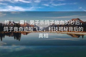 驚人一幕！男子殺鴿子放血30秒后，鴿子竟奇跡般飛走，科技揭秘背后的真相