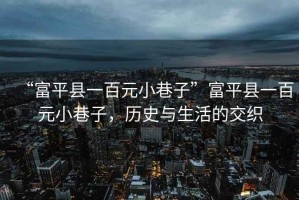“富平縣一百元小巷子”富平縣一百元小巷子，歷史與生活的交織