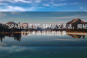 “SPA航空黑話”SPA航空黑話，揭秘行業(yè)術語背后的故事