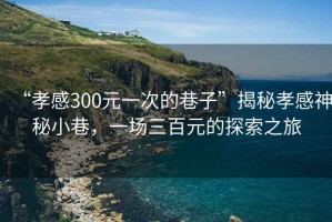 “孝感300元一次的巷子”揭秘孝感神秘小巷，一場三百元的探索之旅