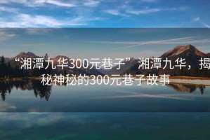“湘潭九華300元巷子”湘潭九華，揭秘神秘的300元巷子故事
